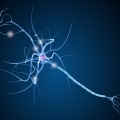 What is cognitive impairment in early stages of multiple sclerosis?