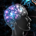 What part of the central nervous system is affected in multiple sclerosis?
