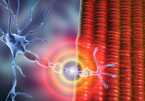 How does multiple sclerosis affect the central nervous system?